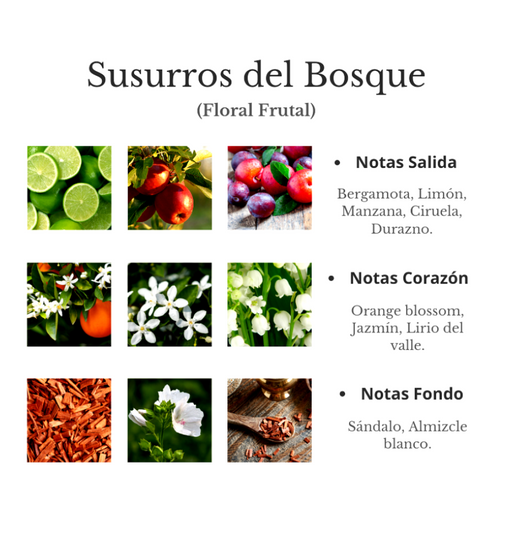 notas aromatizante Susurros del Bosque de Briza Parfums. Fragancia para el hogar con aroma natural y fresco. Distribuido por Essenciel.