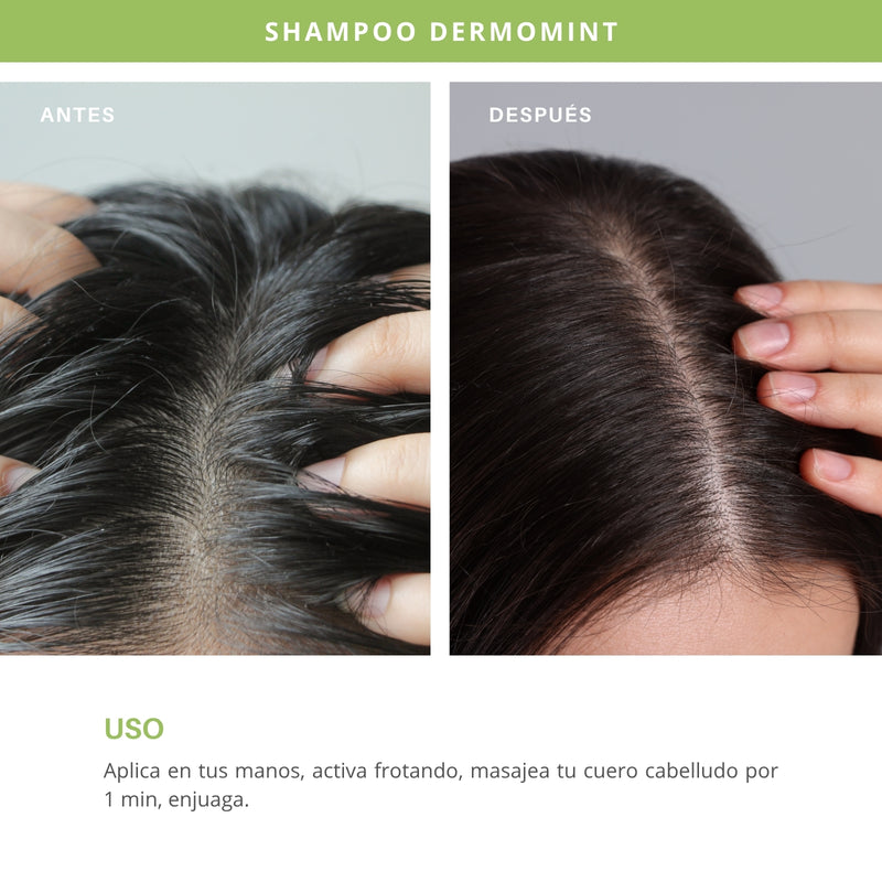 Shampoo Dermomint
