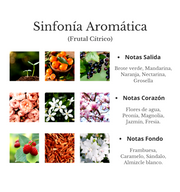 Aromatizante Sinfonía Aromática de Briza Parfums, Fragancia para el hogar con aroma envolvente. Distribuido por Essenciel.