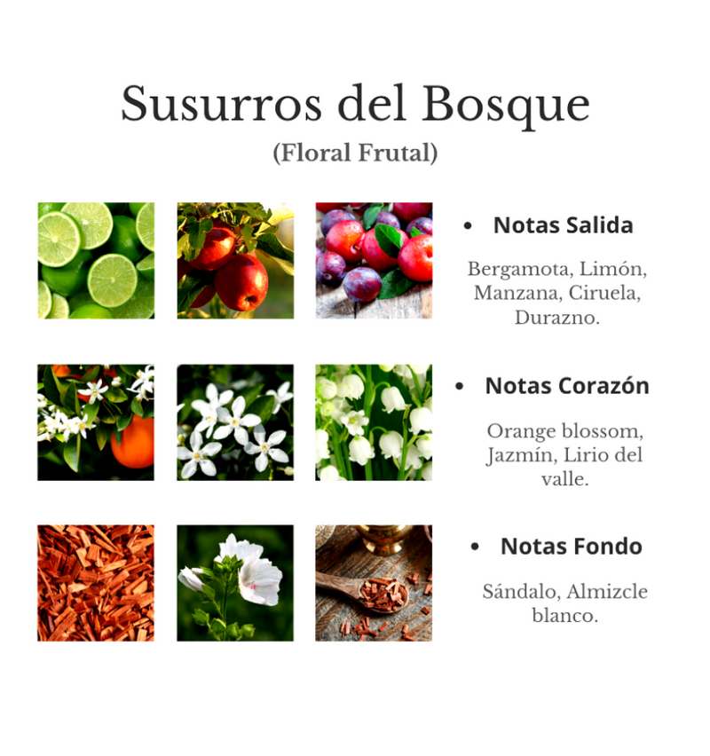 notas aromatizante Susurros del Bosque de Briza Parfums. Fragancia para el hogar con aroma natural y fresco. Distribuido por Essenciel.